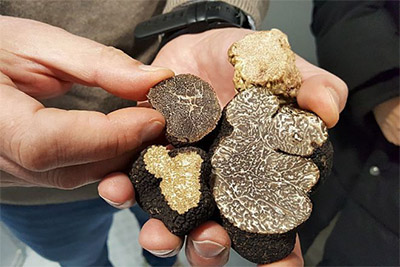 truffle two types description